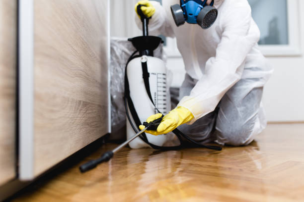  Sturgeon, MO Pest Control Pros