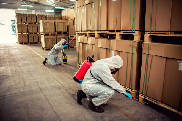 Best Ant Control Services  in Sturgeon, MO