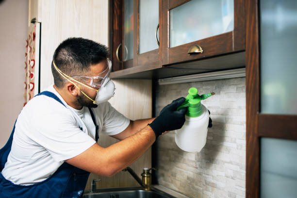 Best Mosquito Control Services  in Sturgeon, MO