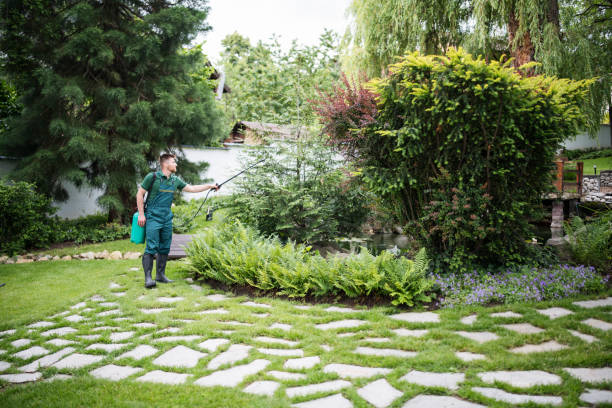 Best Pest Prevention Services  in Sturgeon, MO
