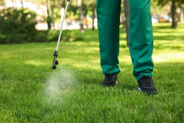 Insect Control in Sturgeon, MO