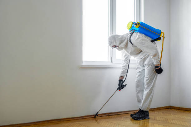 Best Wildlife Control Services  in Sturgeon, MO