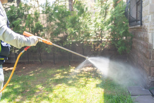 Trusted Sturgeon, MO Pest Control Experts