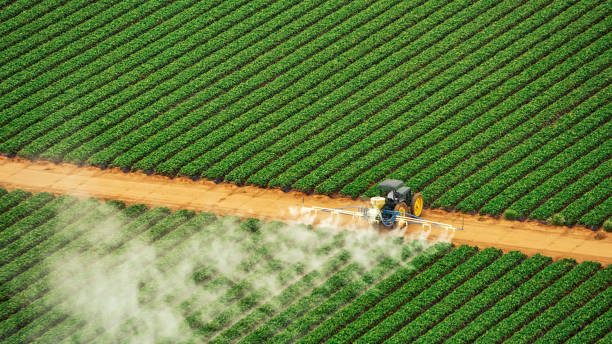 Best Termite Control Services  in Sturgeon, MO