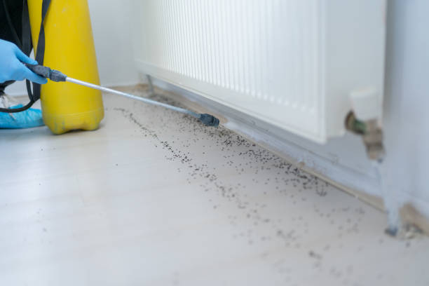 Pest Prevention Services in Sturgeon, MO