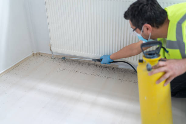 Best Residential Pest Control  in Sturgeon, MO